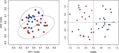 Vaginal Microbiota Changes During Estrous Cycle in Dairy Heifers